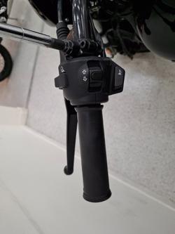 2019 Harley-davidson XG500 STREET 500 Black