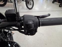 2019 Harley-davidson XG500 STREET 500 Black