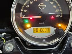 2019 Harley-davidson XG500 STREET 500 Black