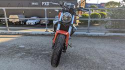 2024 HARLEY-DAVIDSON HD350-10 H-DX X350 Orange