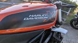 2024 HARLEY-DAVIDSON HD350-10 H-DX X350 Orange