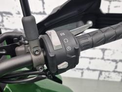 2019 Kawasaki Versys 1000 SE Versys Green
