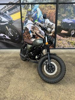 2023 MUTT HILTS 250 Green