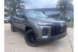 LDV T60