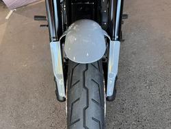 2024 HARLEY-DAVIDSON FXLRS LOW RIDER S (117)