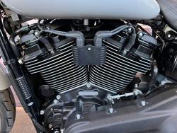 2024 HARLEY-DAVIDSON FXLRS LOW RIDER S (117)