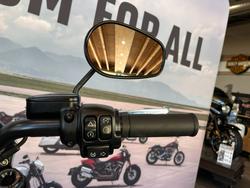 2024 HARLEY-DAVIDSON FXLRS LOW RIDER S (117)