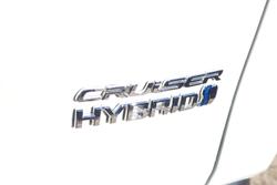 2021 Toyota RAV4 Cruiser