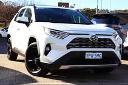 2021 Toyota RAV4 Cruiser