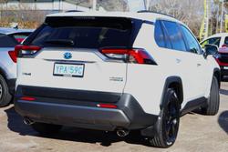 2021 Toyota RAV4 Cruiser