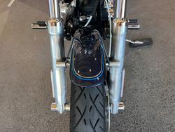 2009 HARLEY-DAVIDSON FXSTC SOFTAIL CUSTOM
