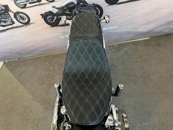 2009 HARLEY-DAVIDSON FXSTC SOFTAIL CUSTOM