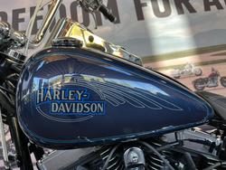 2009 HARLEY-DAVIDSON FXSTC SOFTAIL CUSTOM