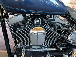 2009 HARLEY-DAVIDSON FXSTC SOFTAIL CUSTOM