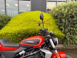 2025 HARLEY-DAVIDSON LWZX350 H-DX X350 Orange