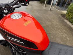 2025 HARLEY-DAVIDSON LWZX350 H-DX X350 Orange