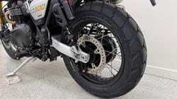 2026 Triumph SCRAMBLER 900 BLACK
