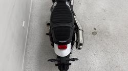 2026 Triumph SCRAMBLER 900 BLACK