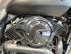 2020 Harley-Davidson Street 500 (XG500) Street Black