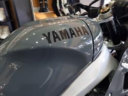 2024 YAMAHA XSR900GP (MTM890ASP) Grey