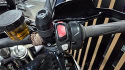 2024 Triumph TIGER 1200 GT EXPLORER Black