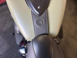 2025 Indian SPRINGFIELD DARK HORSE Green