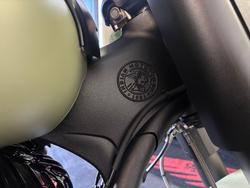 2025 Indian SPRINGFIELD DARK HORSE Green