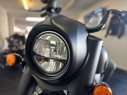 2025 Indian SPRINGFIELD DARK HORSE Green