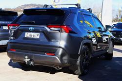 2020 Toyota RAV4 Cruiser