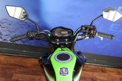 2017 Kawasaki Z125 PRO Green
