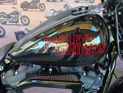 2025 HARLEY-DAVIDSON FXLRS LOW RIDER S (117)
