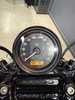 2019 Harley-Davidson Forty-Eight Special (XL1200XS) Sportster Red