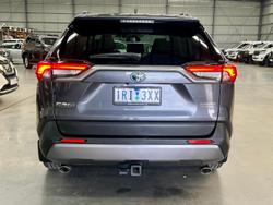 2020 Toyota RAV4 Cruiser