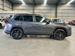 2020 Toyota RAV4 Cruiser