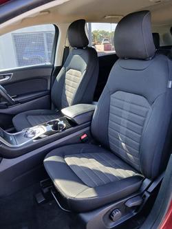 2019 Ford Endura Trend