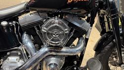 2009 Harley-Davidson Cross Bones 96 (FLSTSB) Softail Black