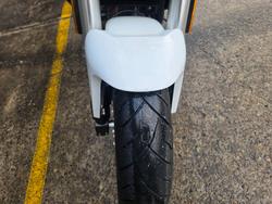2024 HARLEY-DAVIDSON HD350-10 H-DX X350 WHITE