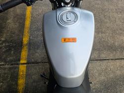 2024 HARLEY-DAVIDSON HD350-10 H-DX X350 SILVER