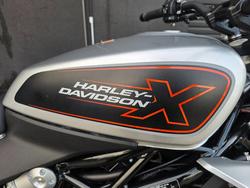 2024 HARLEY-DAVIDSON HD350-10 H-DX X350 SILVER