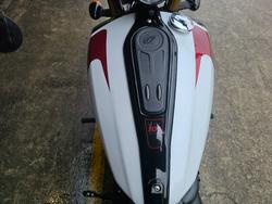 2025 Indian SCOUT 101 LIMITED GHOST WHITE METALLIC
