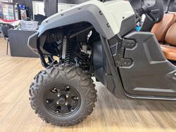 2025 Yamaha YXM700PSES LIGHT GREENISH GRAY METALLIC