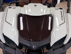 2025 Yamaha YXM700PSES LIGHT GREENISH GRAY METALLIC
