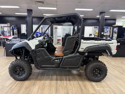 2025 Yamaha YXM700PSES LIGHT GREENISH GRAY METALLIC