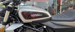 2024 HARLEY-DAVIDSON HD350-10 H-DX X350 SILVER