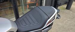 2024 HARLEY-DAVIDSON HD350-10 H-DX X350 SILVER