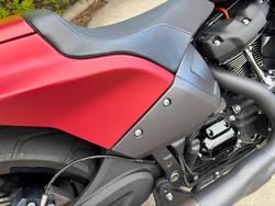 2019 HARLEY-DAVIDSON FXDRS FXDR (114) Red