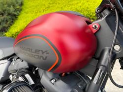 2019 HARLEY-DAVIDSON FXDRS FXDR (114) Red