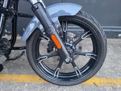2022 Indian CHIEF DARK HORSE GREY