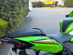 2025 Kawasaki NINJA ZX-10R Green