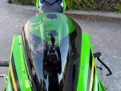 2025 Kawasaki NINJA ZX-10R Green